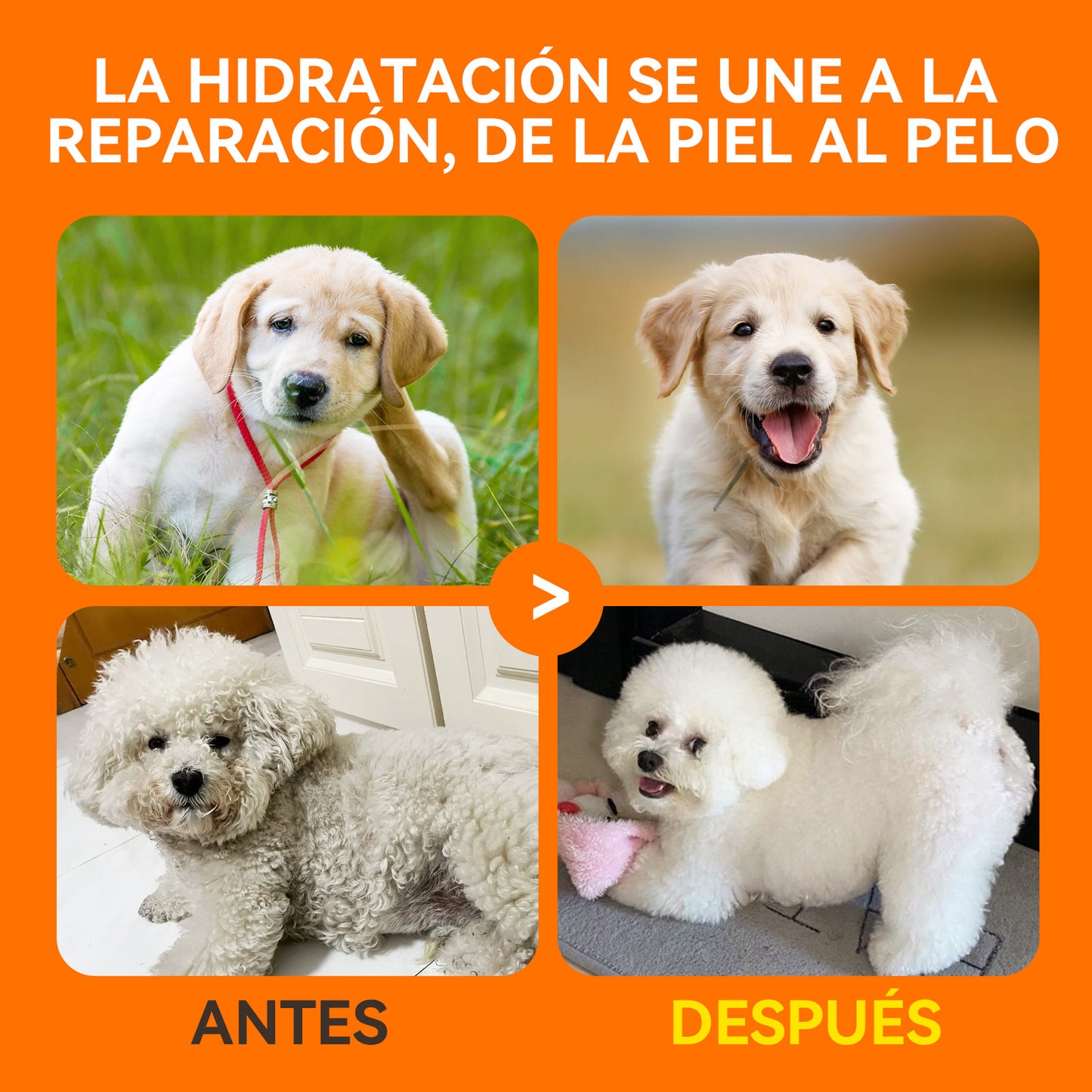 Puainta Banov Champú para Perros y Gatos – Cuidado Suave para Piel Sensible y Seca