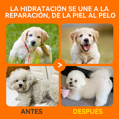 Puainta Banov Champú para Perros y Gatos – Cuidado Suave para Piel Sensible y Seca