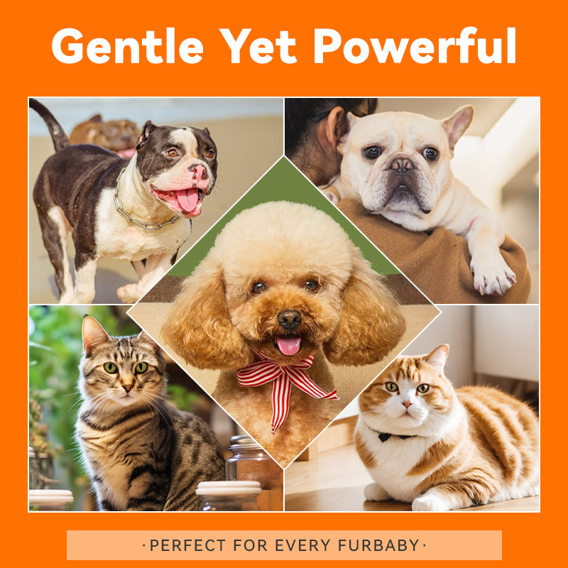 Puainta Banov Champú para Perros y Gatos – Cuidado Suave para Piel Sensible y Seca