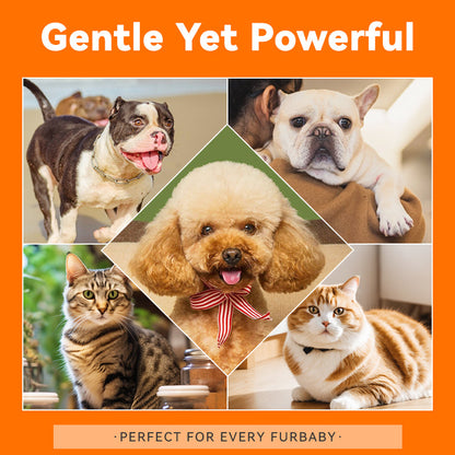 Puainta Banov Champú para Perros y Gatos – Cuidado Suave para Piel Sensible y Seca