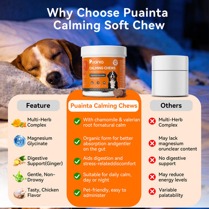 Puainta Calming Chews for Dogs – Natural Relaxation & Calmness Support