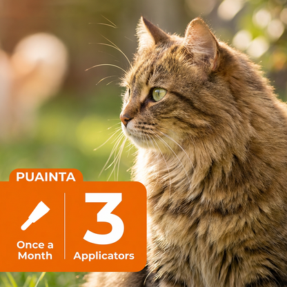 Puainta ADDCOOL Plus Cat Flea & Tick Solution – Fast-Acting Defense