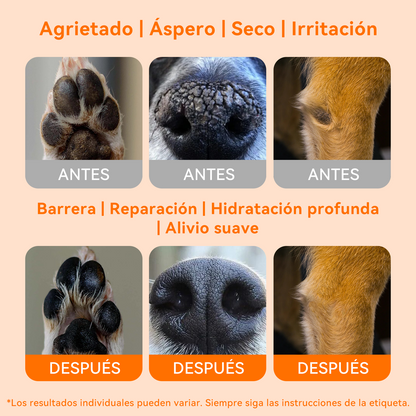 Puainta® Köpek Pati ve Burun Balmı – Çatlamış Patiler İçin Yatıştırıcı Bakım