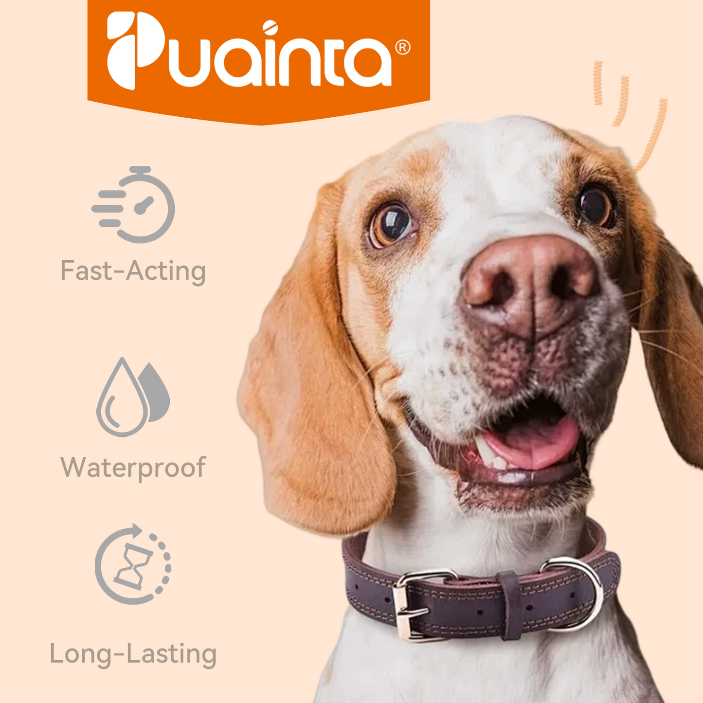 Puainta ADDCOOL Plus Dog Flea & Tick Solution – Fast-Acting Defense