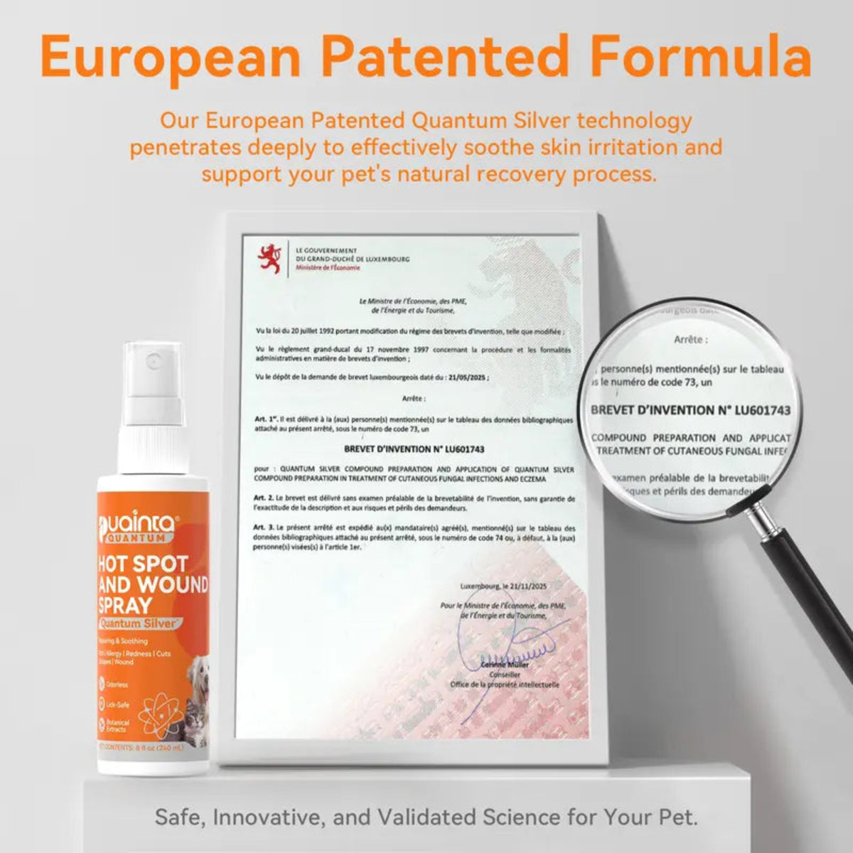Puainta® Quantum Silver Skin Spray for Dogs and Cats