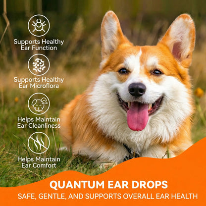Puainta Quantum Silver Ear Drops for Dogs & Cats -Gentle Ear Care for Smelly& Sensitive Ears