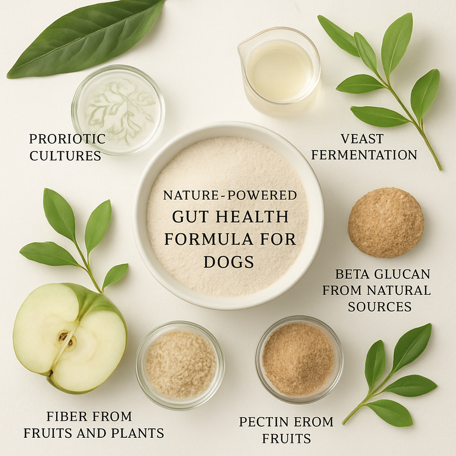 Chamomile and aloe vera botanical ingredients