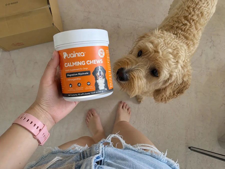Mascota feliz usando el cuidado de Puainta