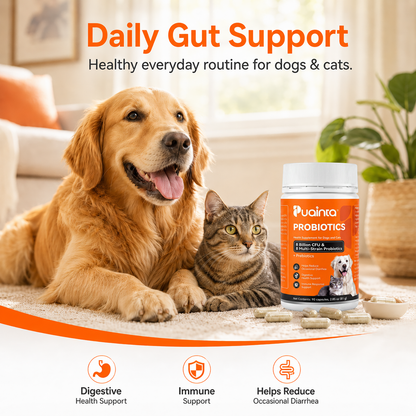 Puainta® Probiotics for Dogs & Cats – Digestive & Gut Health Support