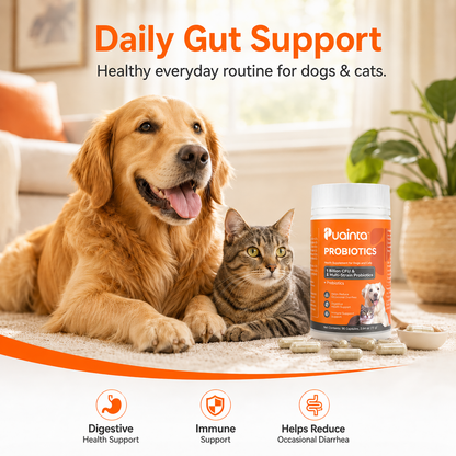 Puainta Daily Health Support for Pets to promote overall wellness and vitality