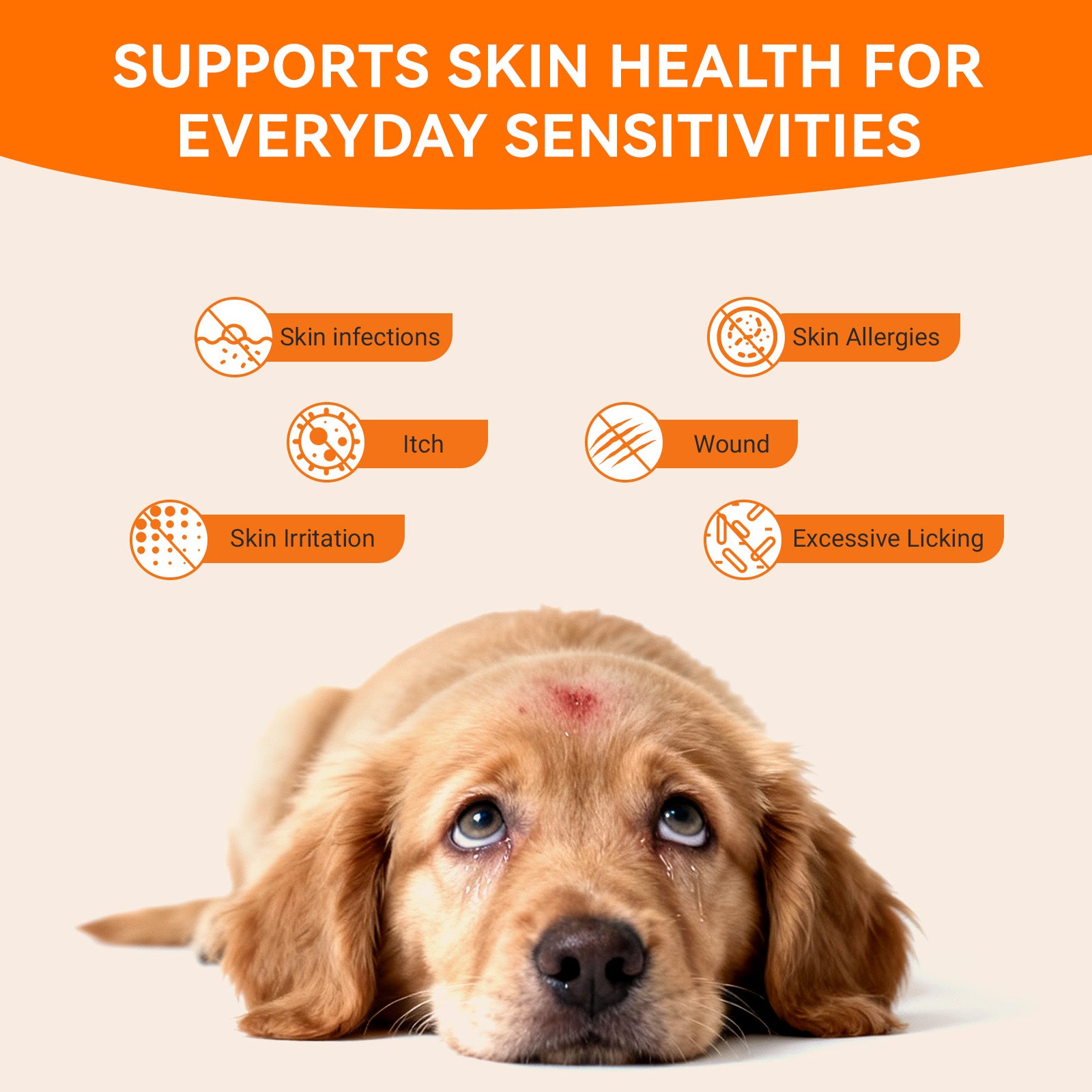 Dog skin comfort support with Puainta pet skin care spray