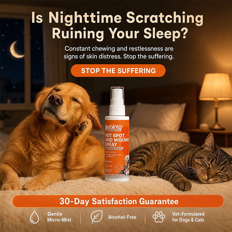 Puainta® Advanced Skin Care Spray for Pets