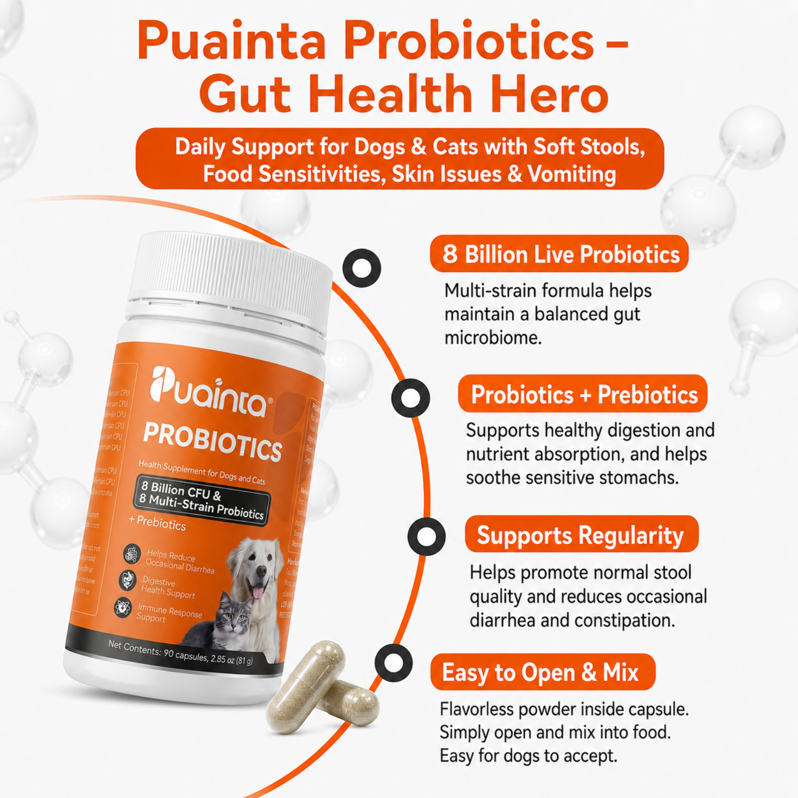 Puainta Probiotic Digestive Support infographic showing digestive health benefits