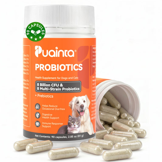 Puainta probiotics for dogs and cats digestive support supplement