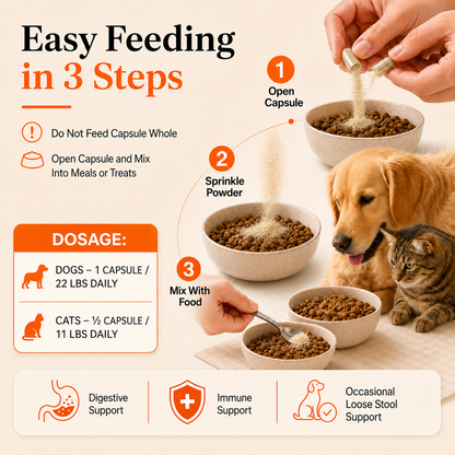 How to use Puainta probiotics for dogs and cats
